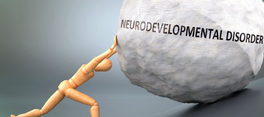 Neurodevelopmental Disorders Therapist Near Me in Creve Coeur MO, Independence MO, and Columbia MO